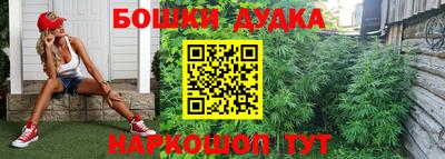 a pvp Будённовск