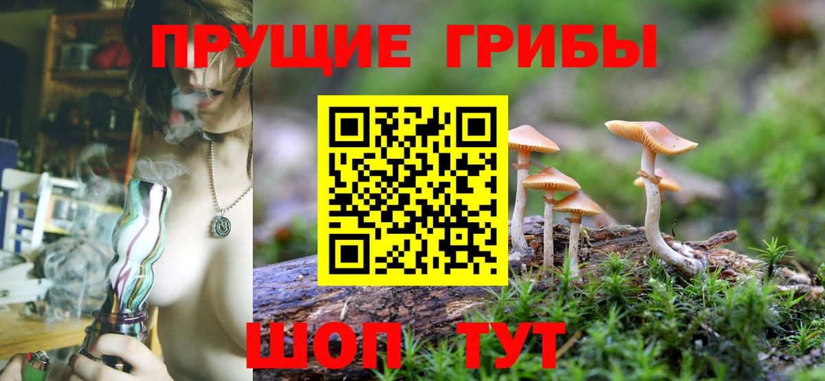 Псилоцибиновые грибы GOLDEN TEACHER Куйбышев