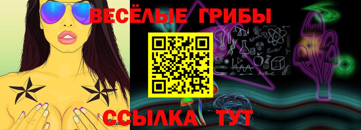 Галлюциногенные грибы MAGIC MUSHROOMS  сколько стоит  Куйбышев  Вход с VPN 